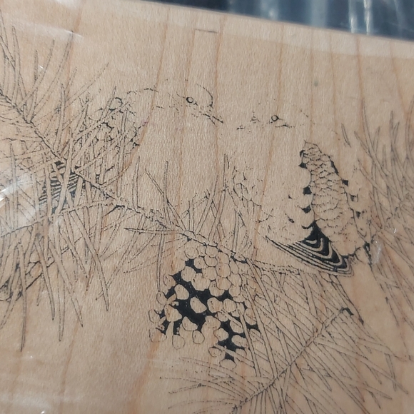 Stampin' Up! (2 Sets) & 1 block Stamp Winter Birds - Picture 5 of 8